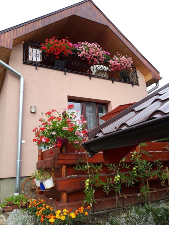 Apartament Privat Jozef Wierzbów Zewnętrze zdjęcie
